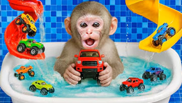 Cute monkey teaching on farming